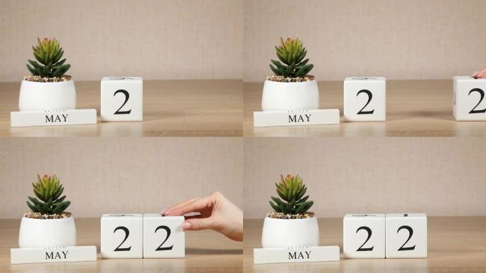 木制日历对5月22日来说是一个重要的事件，女人的手在日历上设置日期。春季。