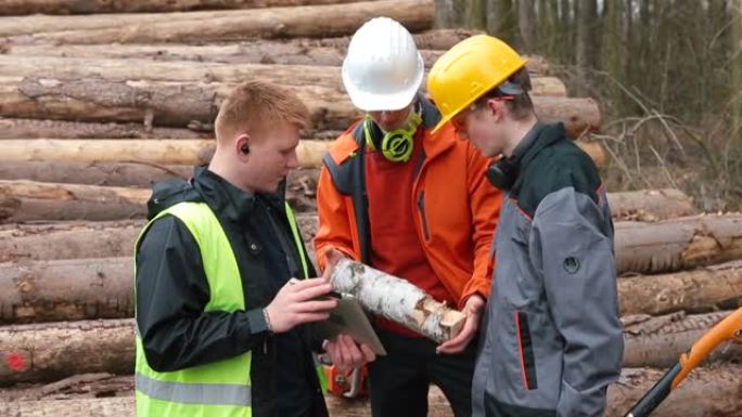 工程师和工人在出售前讨论木材的质量