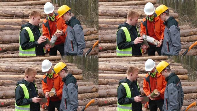 工程师和工人在出售前讨论木材的质量