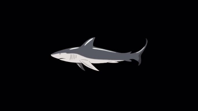 灰色鲨鱼游泳环阿尔法哑光