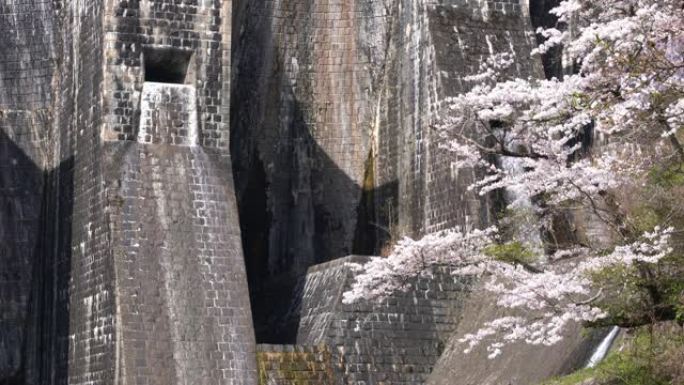 香川县Kanonji市历史悠久的Honen Pond大坝视频