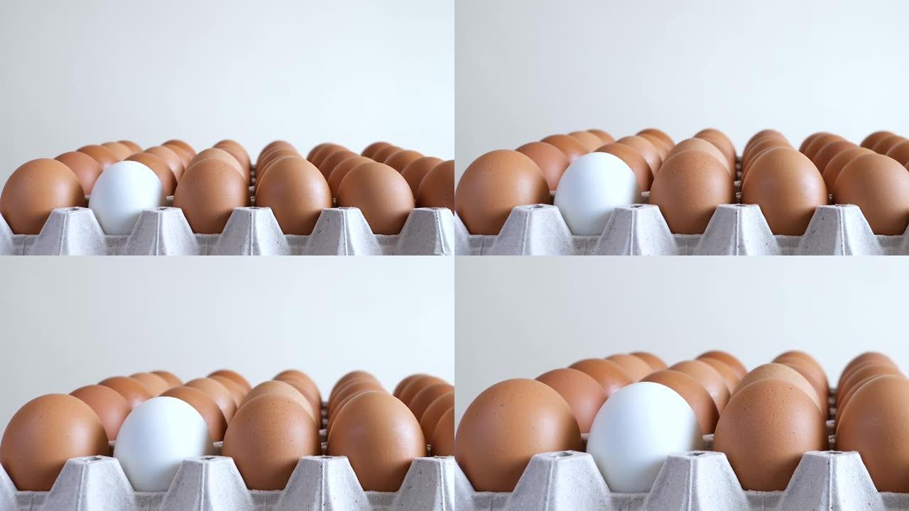在纸箱鸡蛋托盘中关闭棕色鸡蛋中间的单个白色鸡蛋