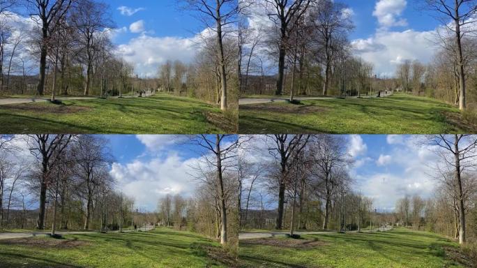 德国比勒费尔德多云的天空下有很多树木的公园的美丽景色