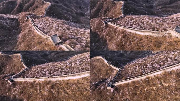 航拍春天里的北京怀柔慕田峪长城