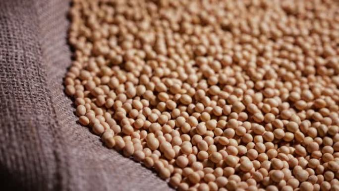 袋装大豆，收获农作物，现成的种子原料，天然有机蛋白产品，肉类替代品