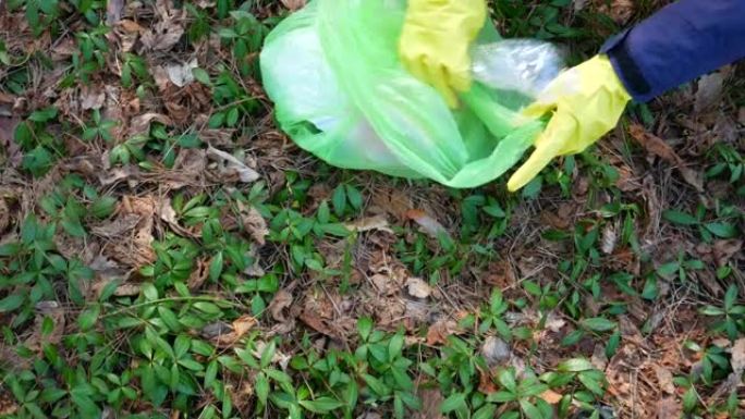 志愿者清理公园里的垃圾。森林里树木周围的塑料瓶。碎片，塑料垃圾。环境污染。生态问题概念。停止对大自然