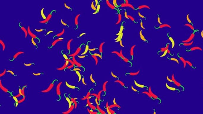 红辣椒运动动画。飞行和旋转红辣椒。横向构图，4k视频质量