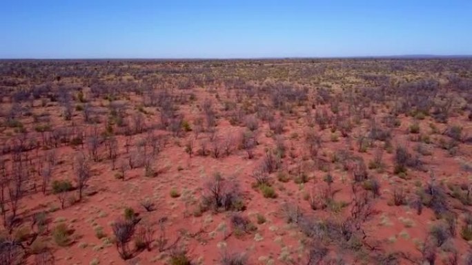 干旱的澳大利亚沙漠平原