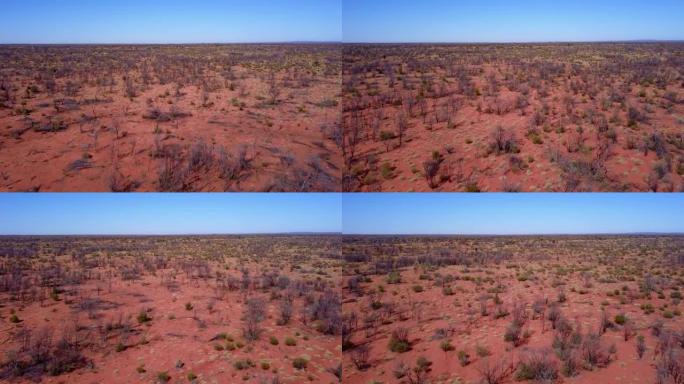 干旱的澳大利亚沙漠平原