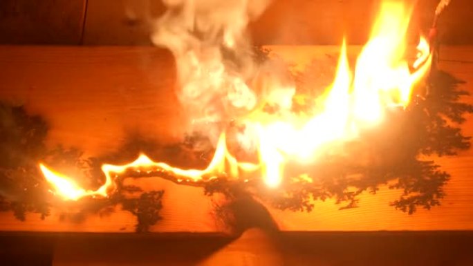 利希滕贝格分形木材燃烧。板上短路燃烧