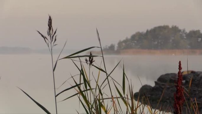 芬兰的群岛-波罗的海的雾蒙蒙的早晨