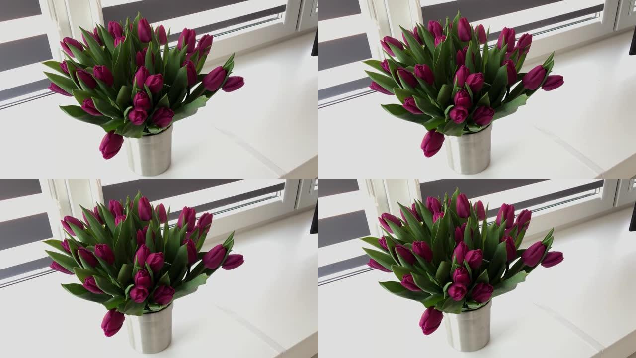 一束紫色郁金香，花瓶里的神奇花朵。中枪。