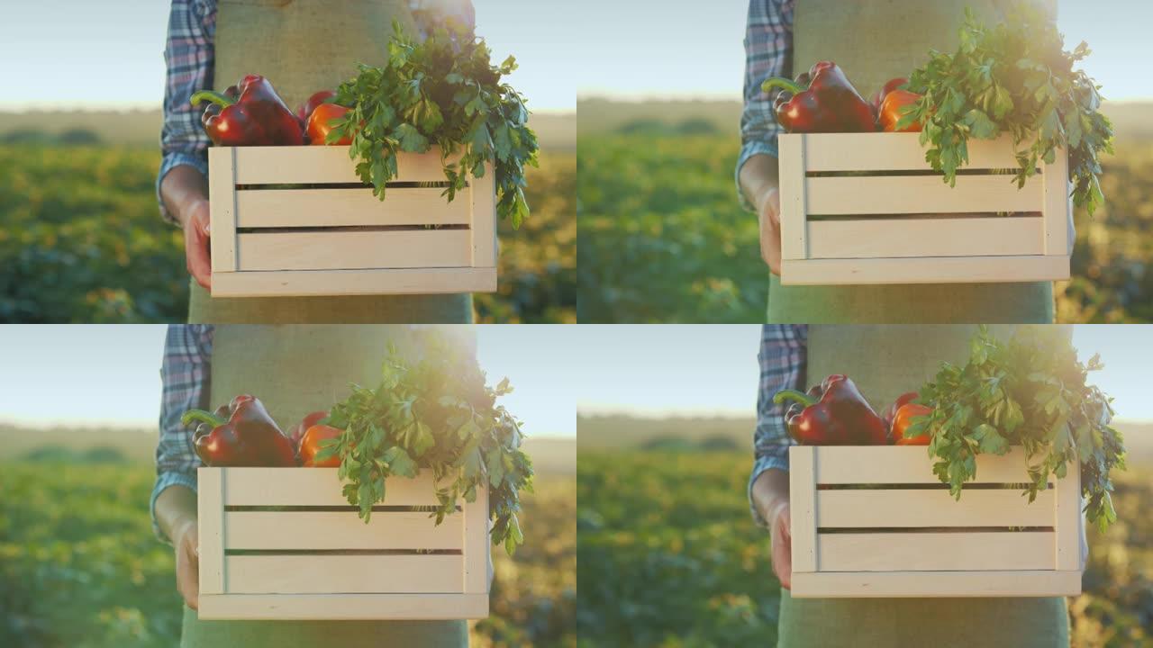 一位男性农民拿着一个木箱，里面有花园里的蔬菜