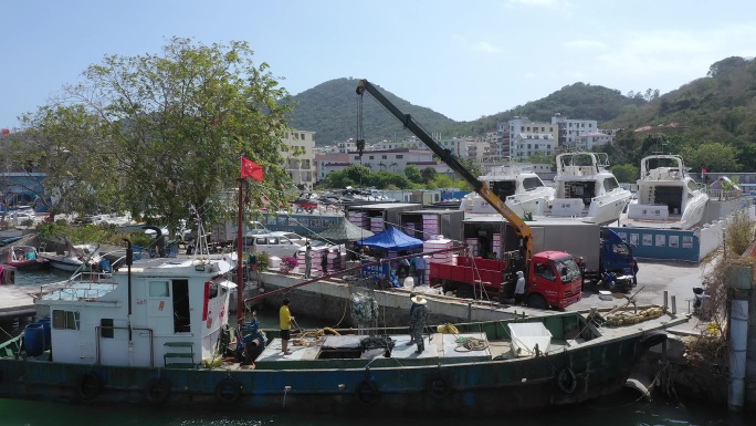 三亚渔港码头渔船卸鱼
