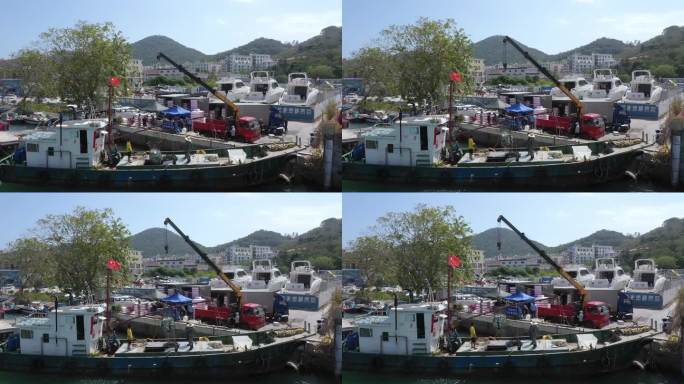 三亚渔港码头渔船卸鱼