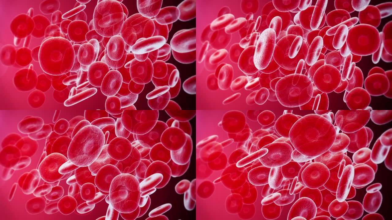 红细胞血细胞血液微观显微镜