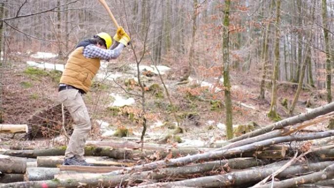 伐木工人用斧头拉一棵树。