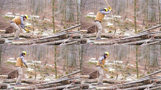 伐木工人用斧头拉一棵树。