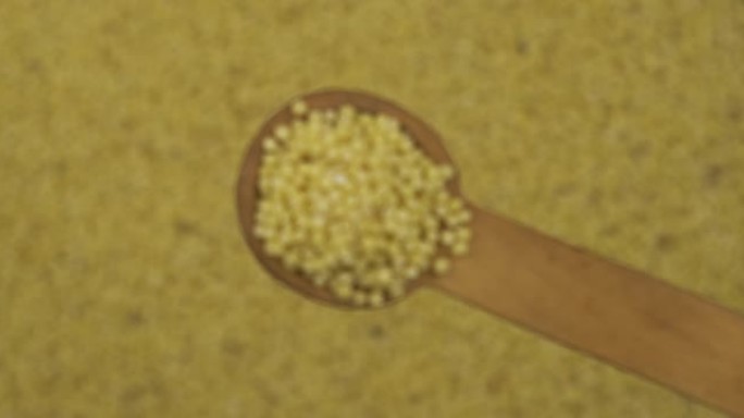 小米粒放在勺子里。从一勺谷物重新聚焦到一堆谷物。轮动。