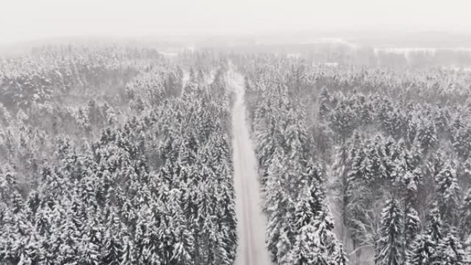 冬季积雪覆盖的森林中的道路俯视图