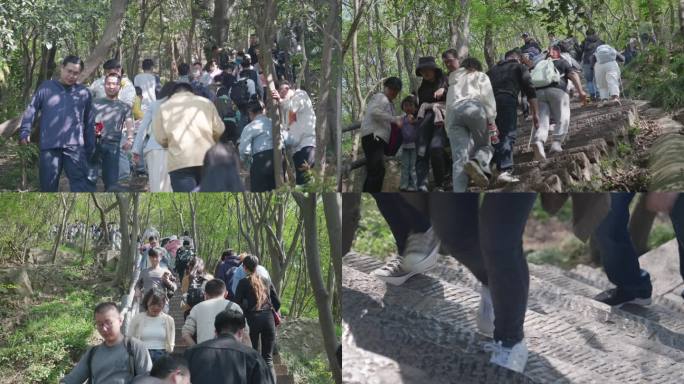 爬山人群合集，登山人群，登山