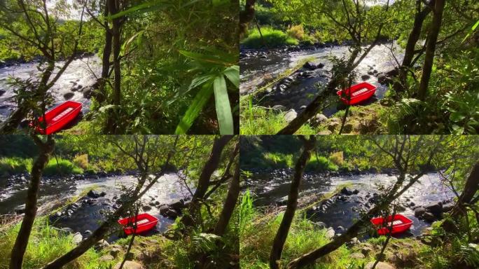 小红船附在Ilet Coco的Riviere des Marsouins河上的树干上