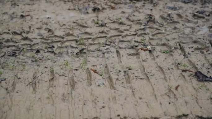 毛毛虫在乡村道路上的湿粘土地上追踪。相机拍摄平稳移动