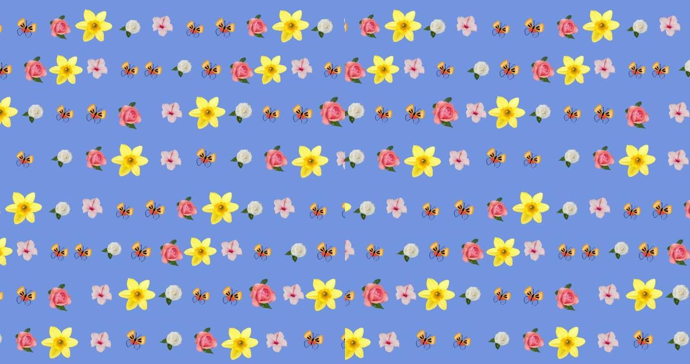 蓝色背景上的多色花朵和蝴蝶的动画