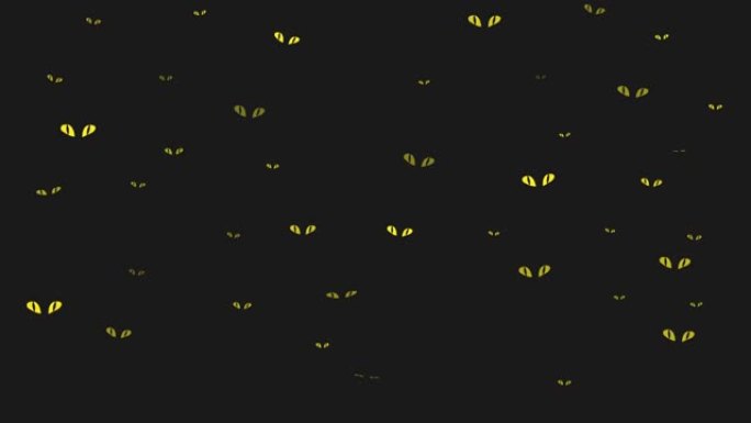 4k视频中黑暗夜晚的卡通猫眼。