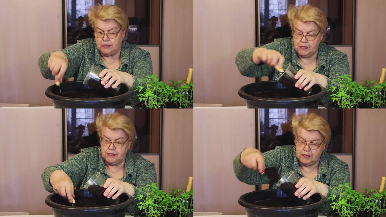一位老妇将堆肥铲入透明的苗木锅中。