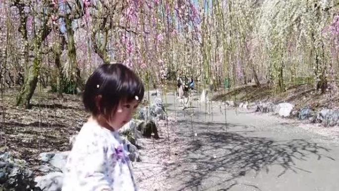 日本梅花树公园的慢动作花瓣落在年轻女孩身上