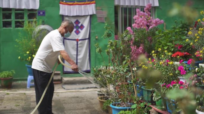 西藏浇花 西藏小区花园小区 过去时光