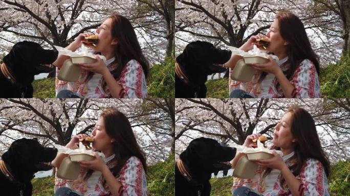 慢动作女人在樱花树下吃汉堡，狗近距离观看