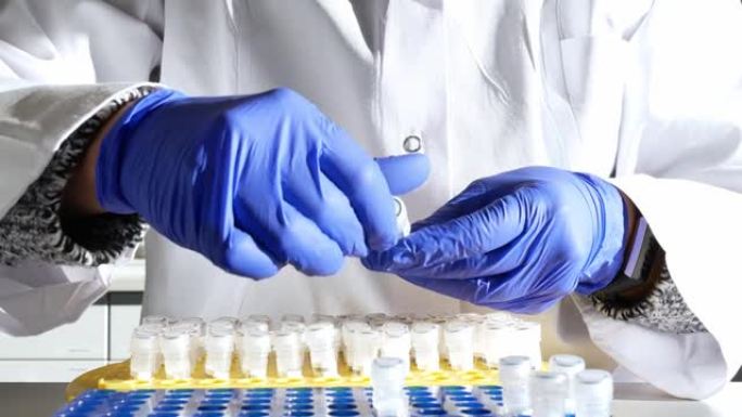 实验室研究员或护士将患者样本移液到试管中。基因工程或遗传病筛查。癌症和药物研究与科学。