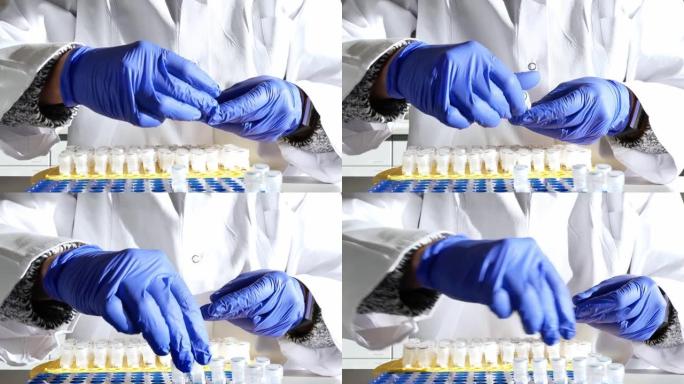 实验室研究员或护士将患者样本移液到试管中。基因工程或遗传病筛查。癌症和药物研究与科学。