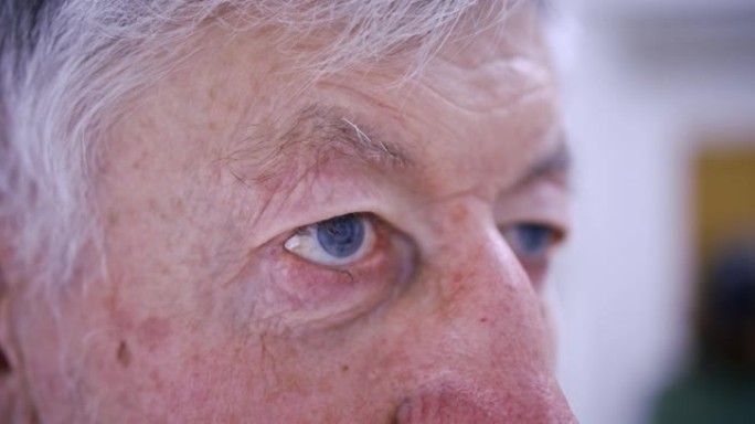 一位老人凝视远方的特写镜头。灰色的头发，蓝色的眼睛，聪明的样子。