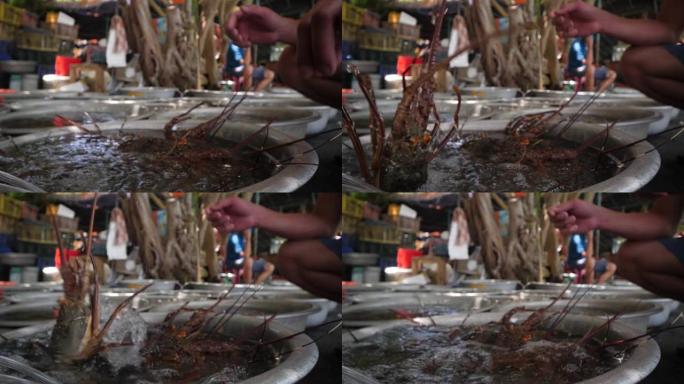 用买家的手采摘一只龙虾，关闭装满龙虾的盆。