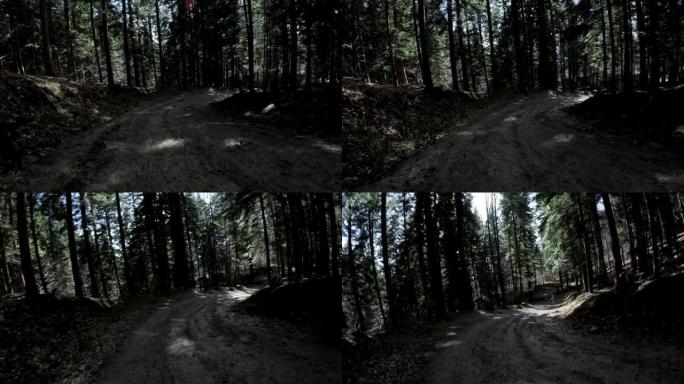 潮湿土路的低角度或较低水平拍摄。第一人称视角FPV视图通过动物眼显示一个向前移动的摄像机在森林里高大