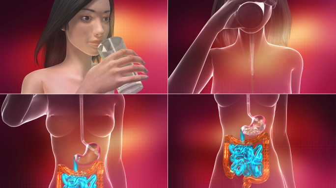 女人喝水喝汤吃药到胃里4K视频素材