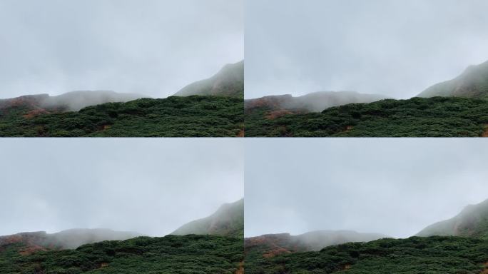大理云山雾罩山中清晨安静风铃声云雾缭绕