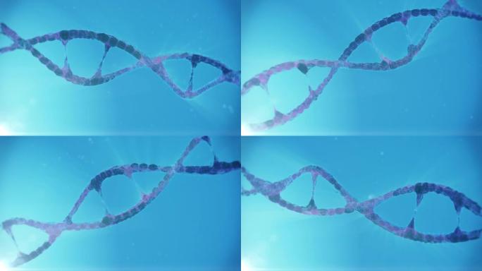 DNA序列。旋转3D立体空间模拟