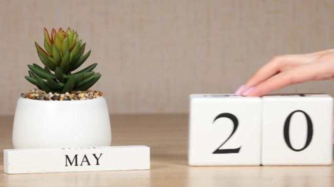 日历上的重要日期或事件是5月20日的。女性手用数字移动立方体。