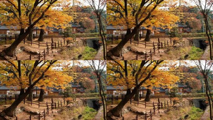 韩国首尔恩平韩屋村的秋天