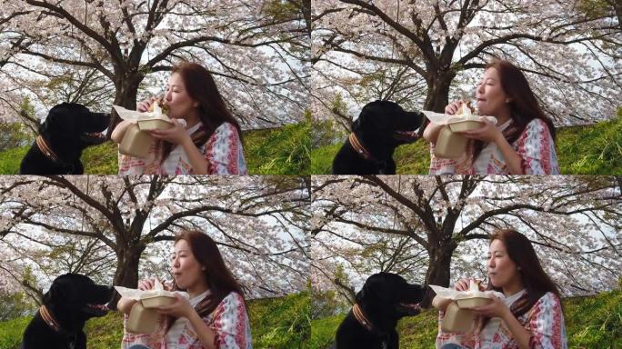 慢动作女人在樱花树下吃汉堡，狗近距离观看