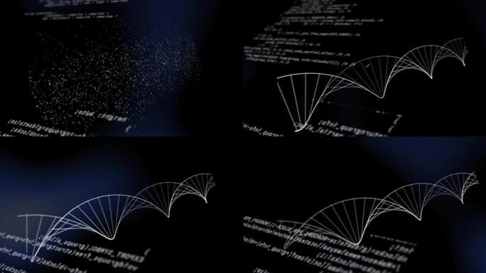在黑色背景上通过科学数据处理旋转的dna菌株的动画