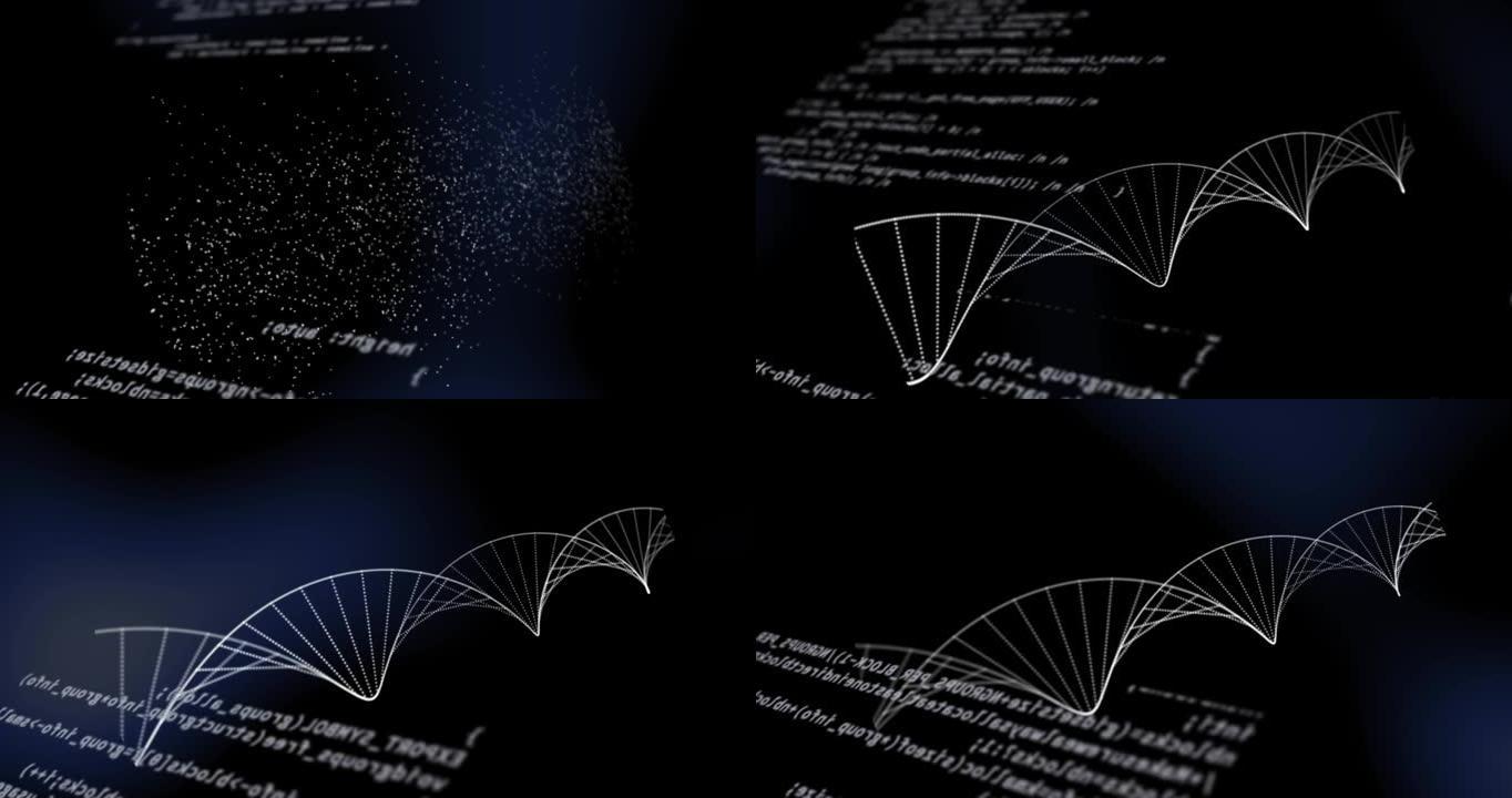 在黑色背景上通过科学数据处理旋转的dna菌株的动画