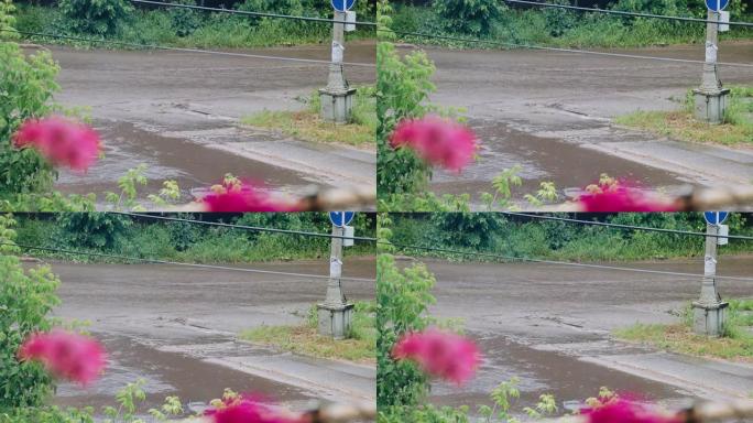 下雨天，肮脏的水流沿着河对面的道路流动。下水道系统无法承受倾盆大雨