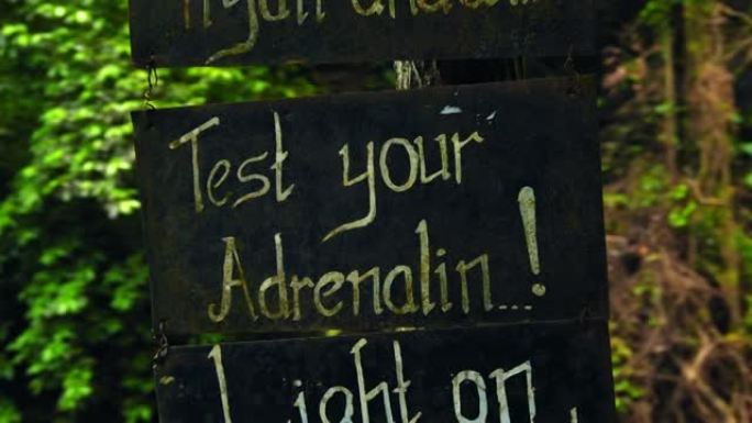 带有绿色植物和树木的丛林广告牌上的文字 “测试你的肾上腺素!”