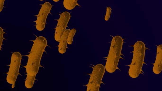 4k显微细菌医学背景-循环，可循环细菌-漂浮大肠杆菌细菌-细菌的3D动画。螺旋细菌特写-橙色