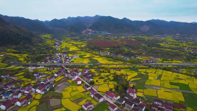 陕西汉中南郑岳家岭村油菜花西成高铁航拍